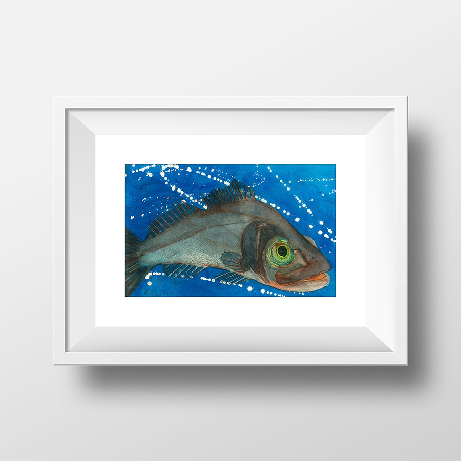 Nicky’s Fish - Sea Bass
